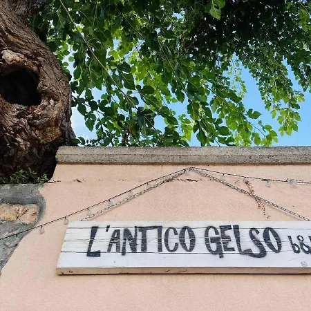 L'Antico Gelso-2